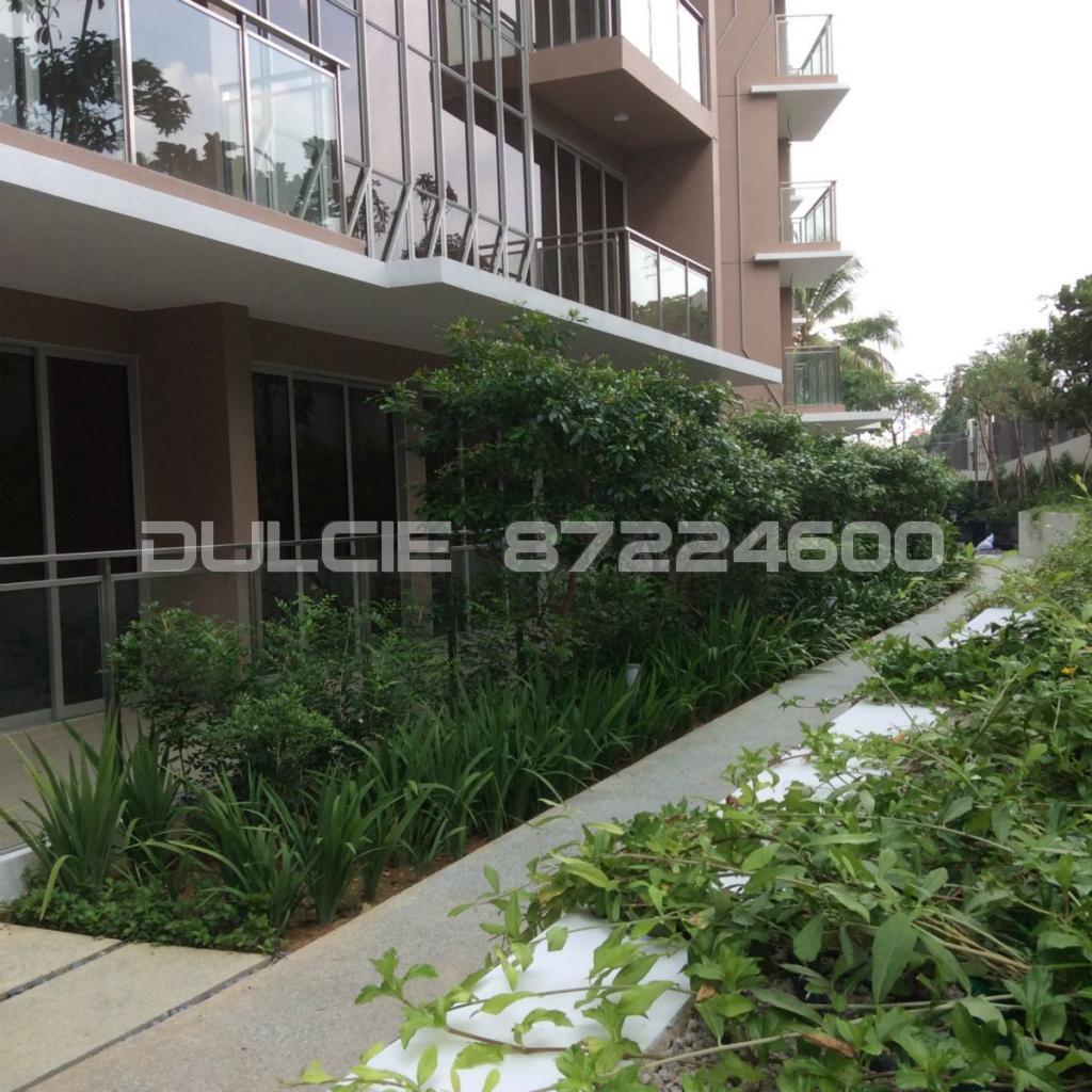 Bartley Residences (D19), Apartment #89684742